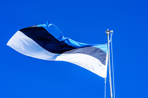 Najczęstsze błędy przy rejestracji firmy w Estonii i jak ich uniknąć